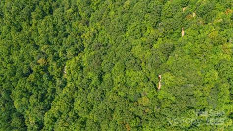 Lot 21 Cat Pen Branch Road Hot Springs NC 28743
