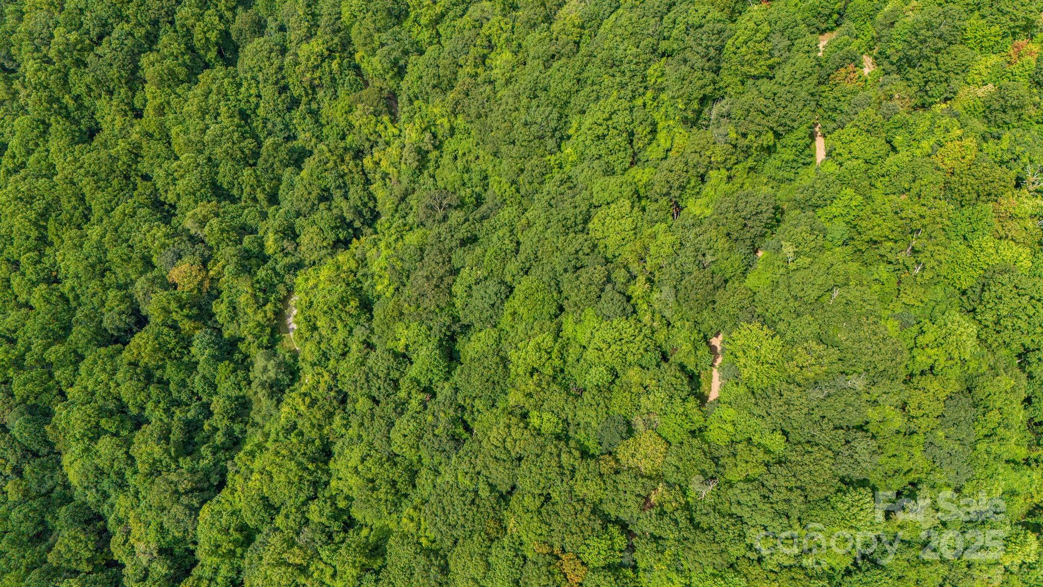 Lot 21 Cat Pen Branch Road Hot Springs NC 28743