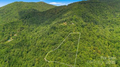 Lot 21 Cat Pen Branch Road Hot Springs NC 28743