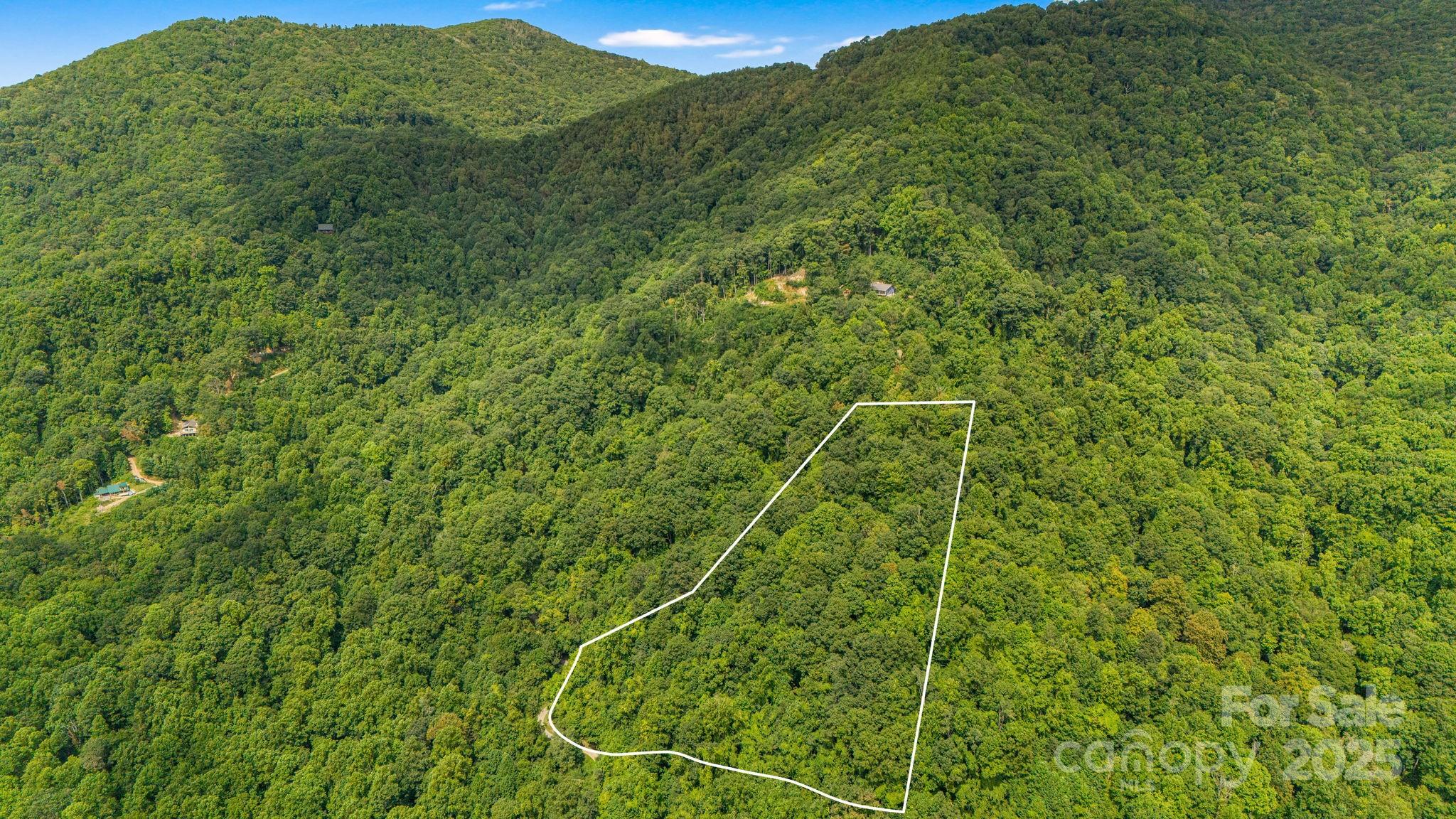 Lot 21 Cat Pen Branch Road Hot Springs NC 28743