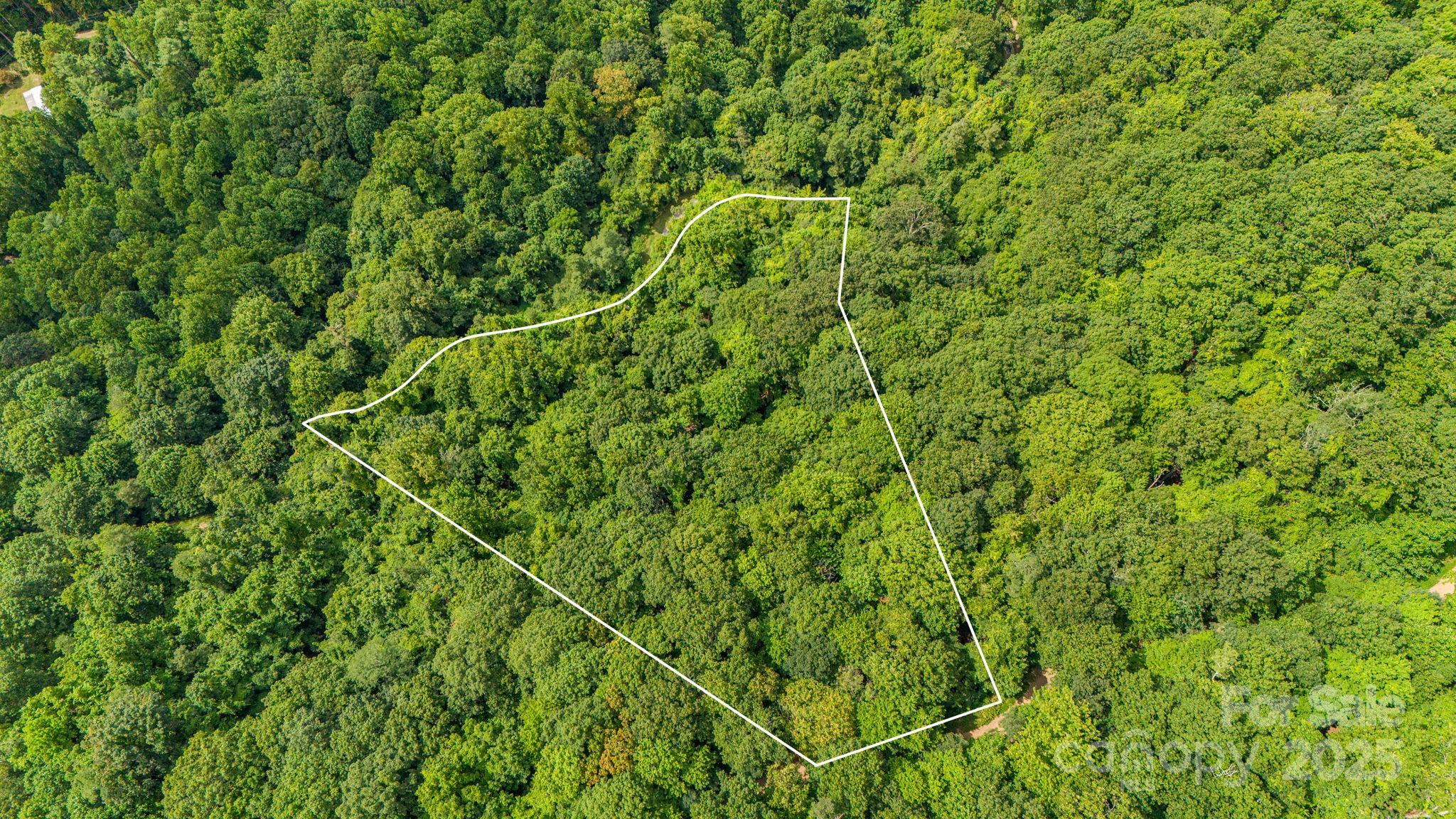 Lot 21 Cat Pen Branch Road Hot Springs NC 28743