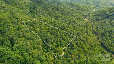 Lot 21 Cat Pen Branch Road Hot Springs NC 28743