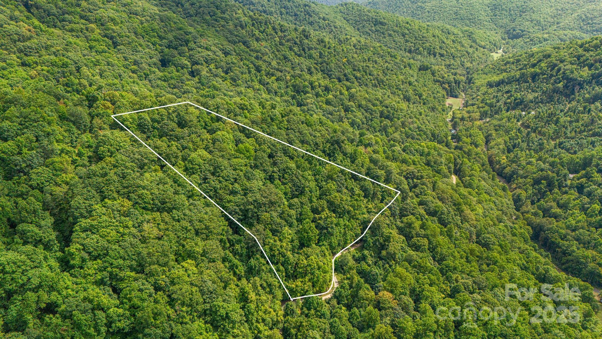 Lot 21 Cat Pen Branch Road Hot Springs NC 28743