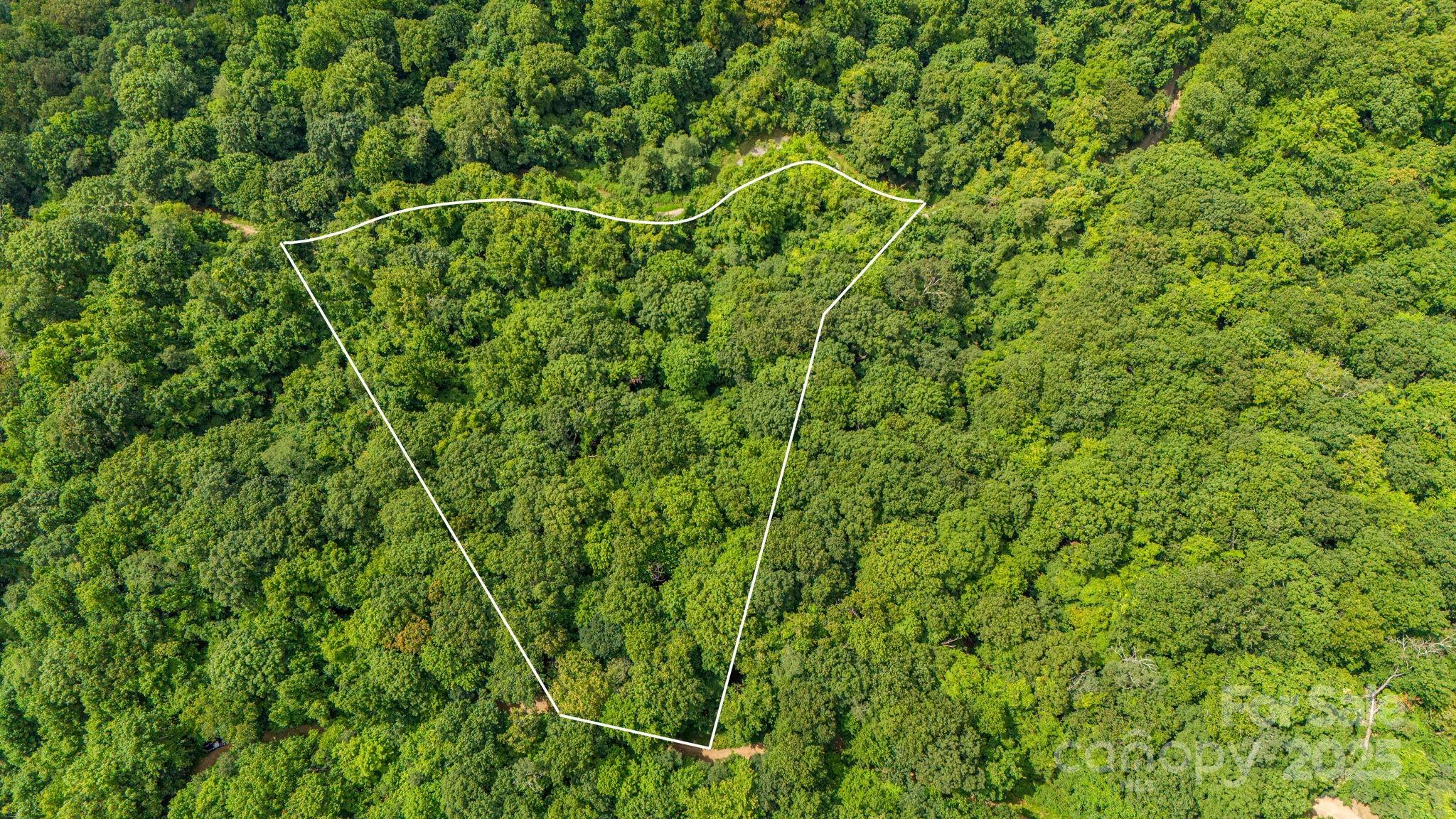 Lot 21 Cat Pen Branch Road Hot Springs NC 28743