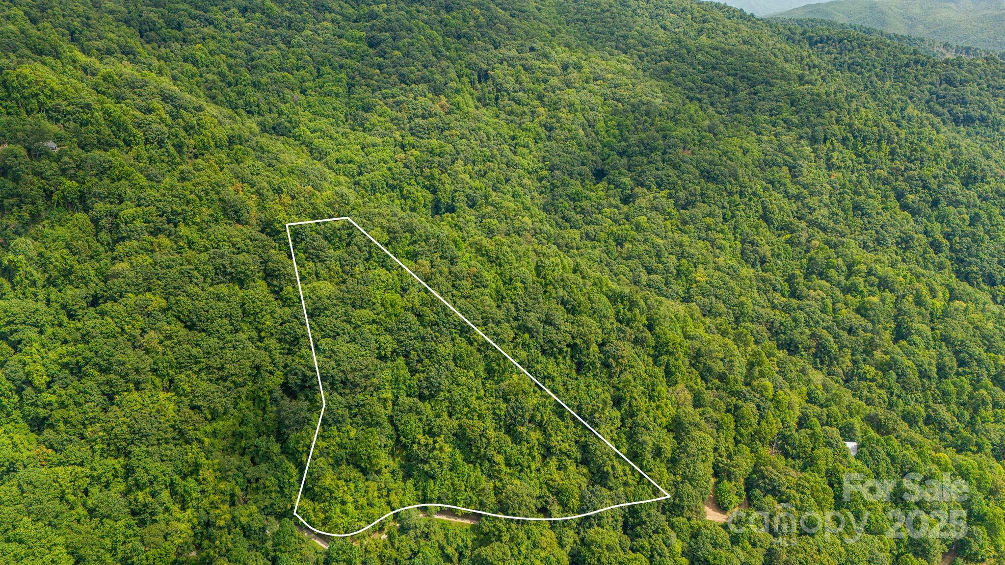Lot 21 Cat Pen Branch Road Hot Springs NC 28743