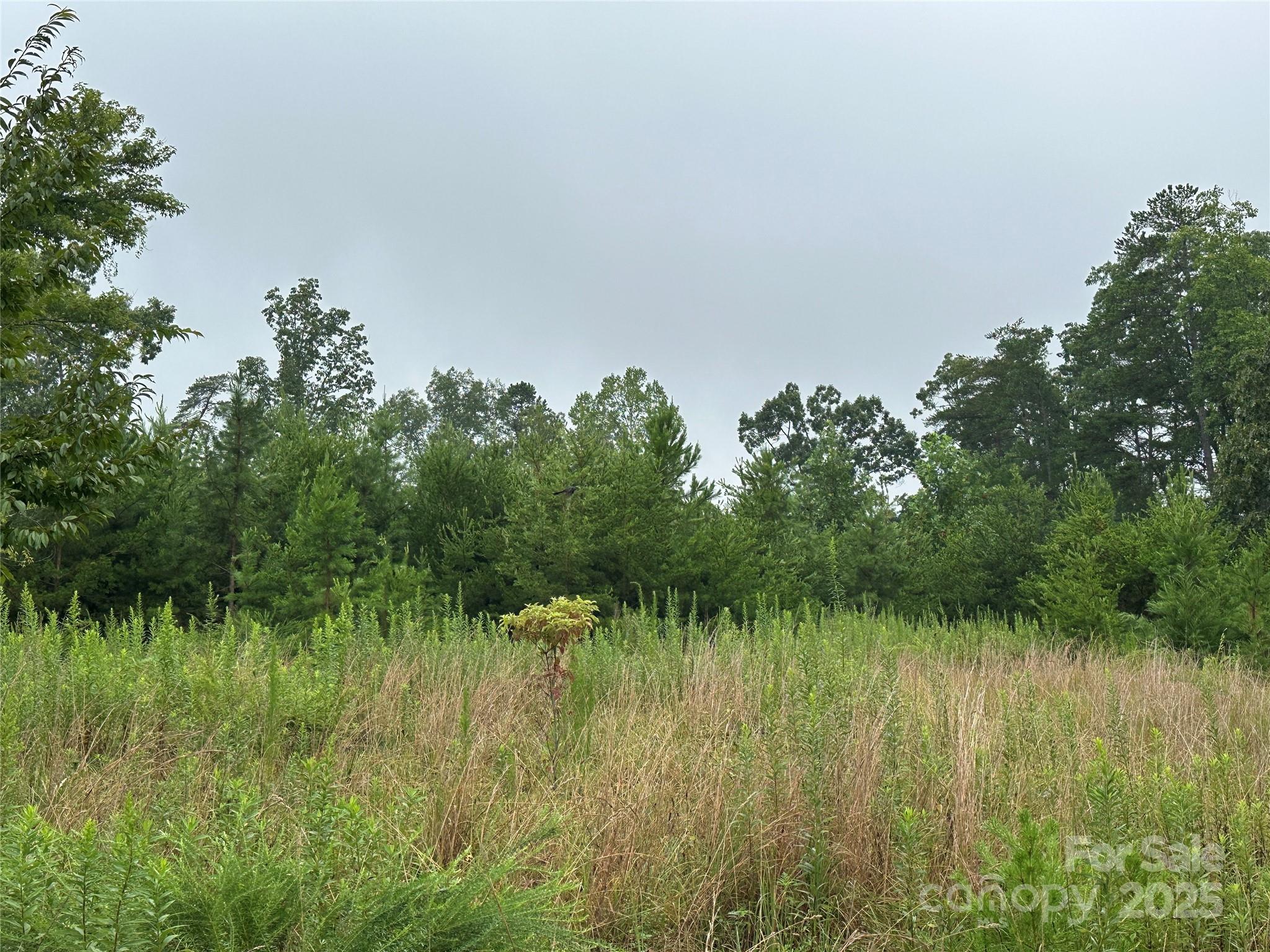Lot 1 Celestial Drive Nebo NC 28761