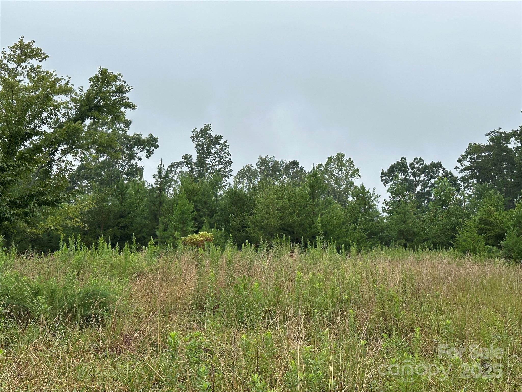 Lot 1 Celestial Drive Nebo NC 28761