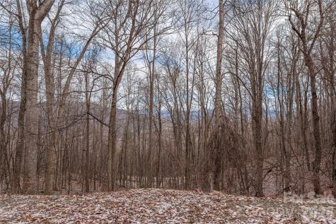 00 Curry Comb Trail Waynesville NC 28785