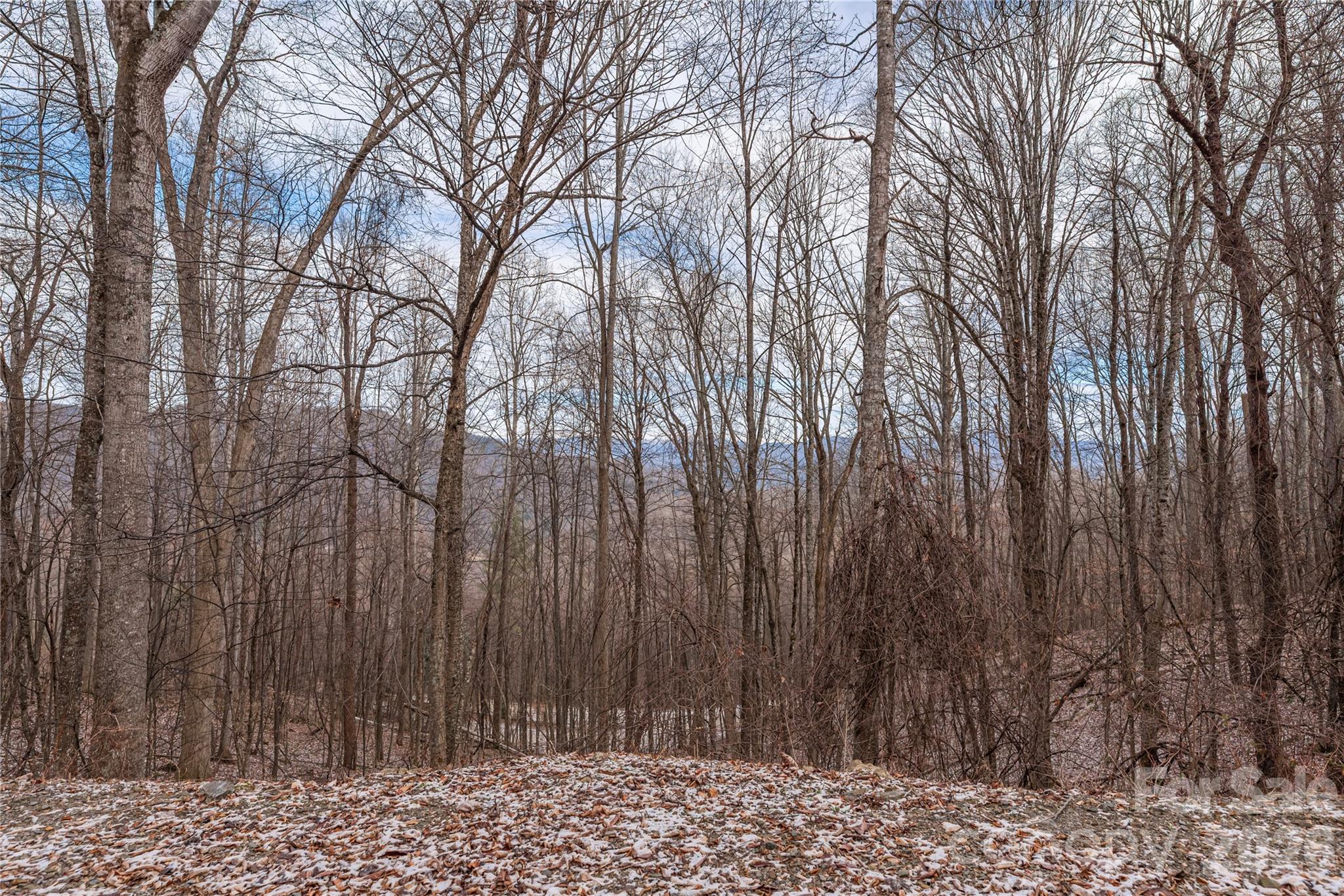 00 Curry Comb Trail Waynesville NC 28785