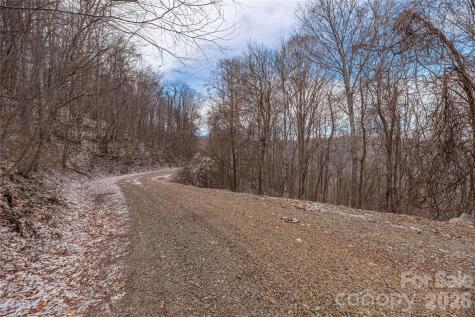 00 Curry Comb Trail Waynesville NC 28785