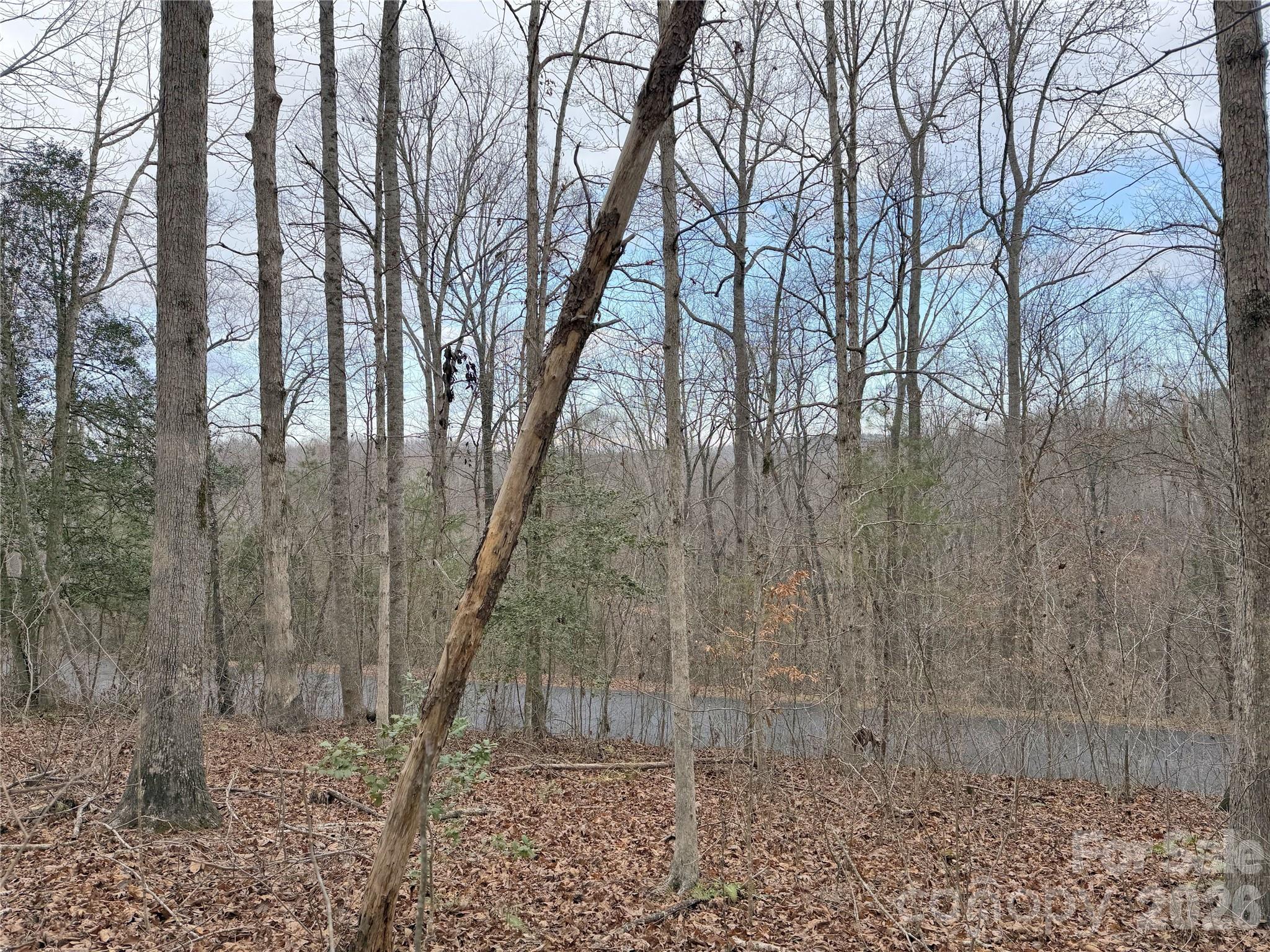 0000 E Rambling Creek Drive Tryon NC 28782