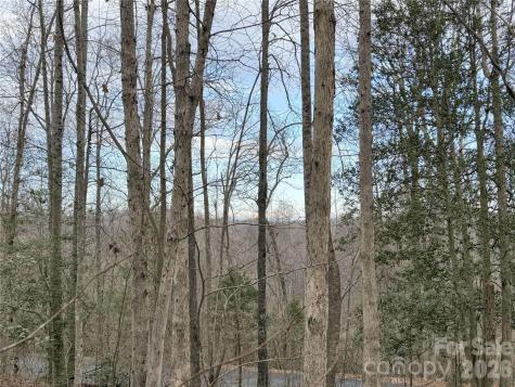 0000 E Rambling Creek Drive Tryon NC 28782