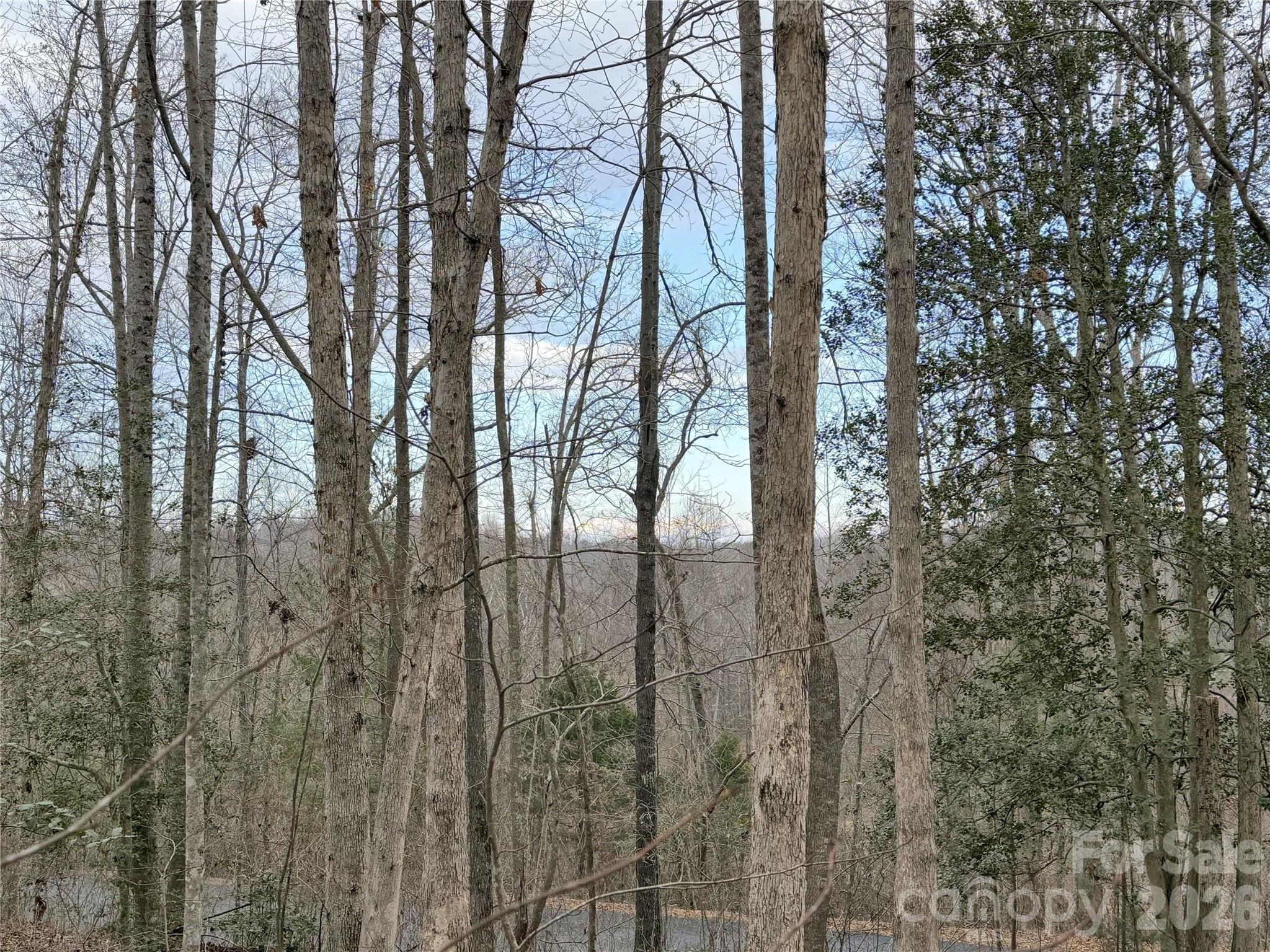 0000 E Rambling Creek Drive Tryon NC 28782