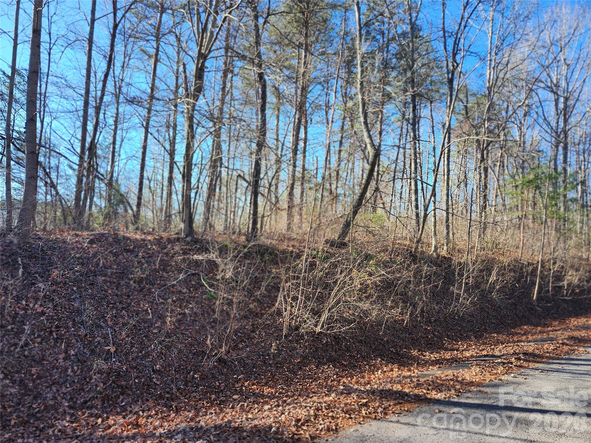 0000 E Rambling Creek Drive Tryon NC 28782