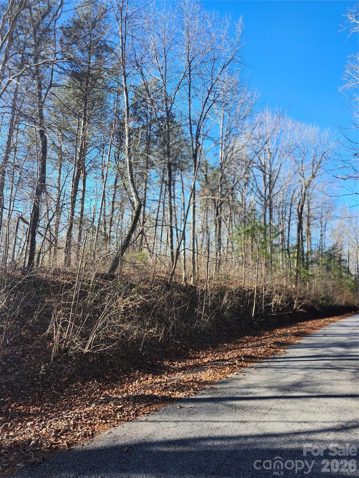 0000 E Rambling Creek Drive Tryon NC 28782