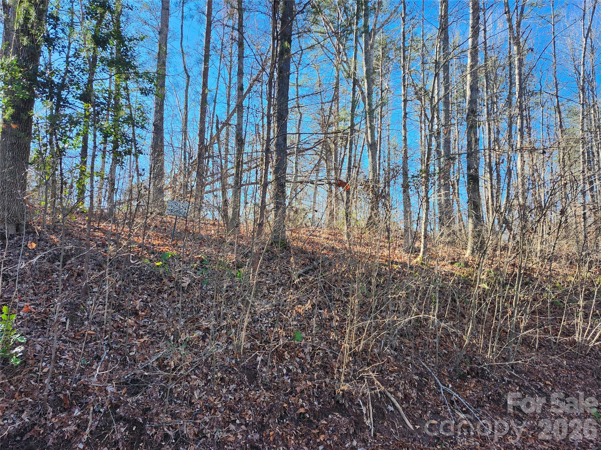 0000 E Rambling Creek Drive Tryon NC 28782