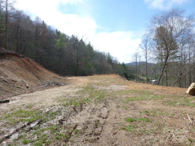 Tbd Joe Tweed Road Marshall NC 28753