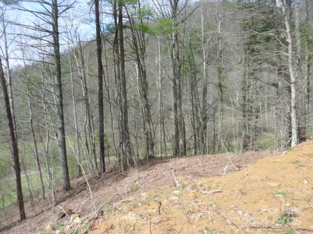 Tbd Joe Tweed Road Marshall NC 28753