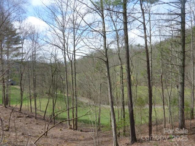 Tbd Joe Tweed Road Marshall NC 28753