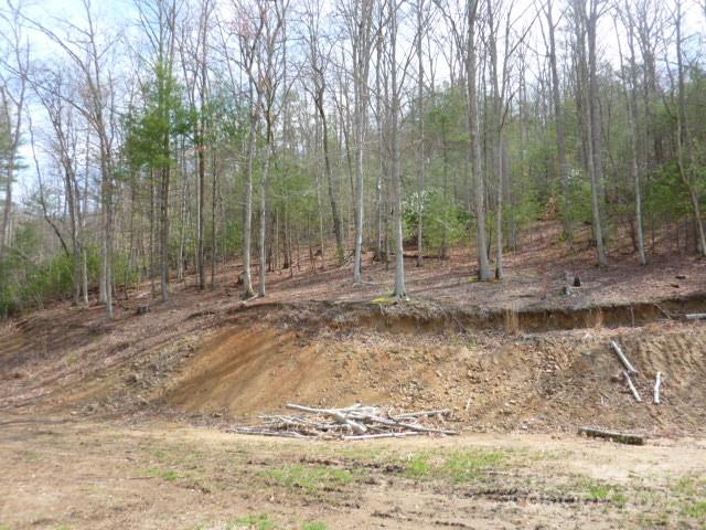Tbd Joe Tweed Road Marshall NC 28753