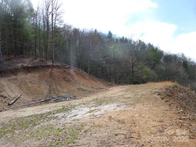 Tbd Joe Tweed Road Marshall NC 28753