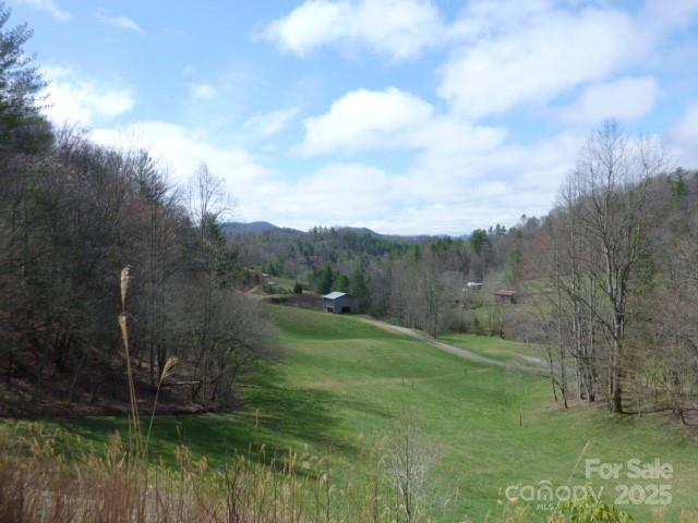 Tbd Joe Tweed Road Marshall NC 28753