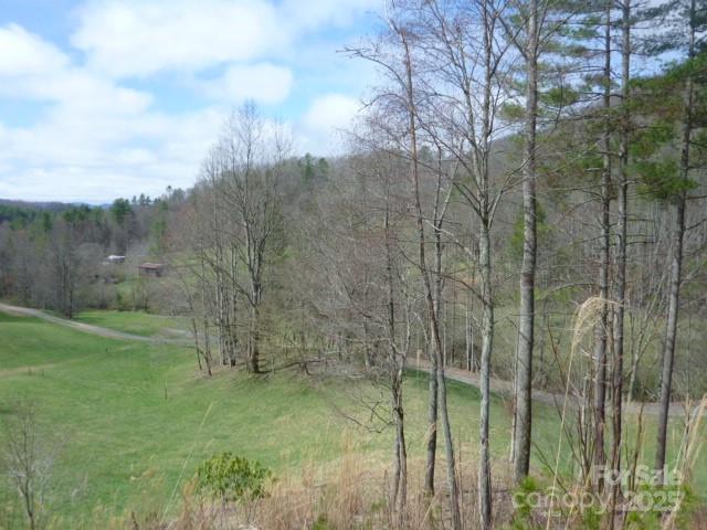 Tbd Joe Tweed Road Marshall NC 28753