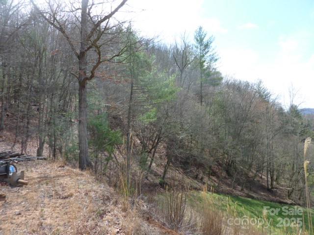 Tbd Joe Tweed Road Marshall NC 28753
