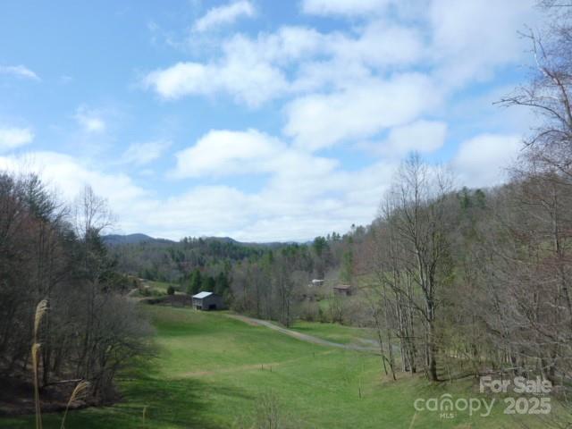 Tbd Joe Tweed Road Marshall NC 28753