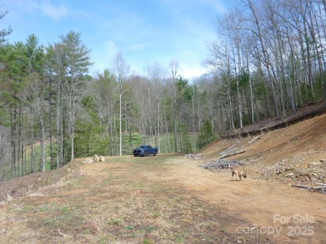 Tbd Joe Tweed Road Marshall NC 28753