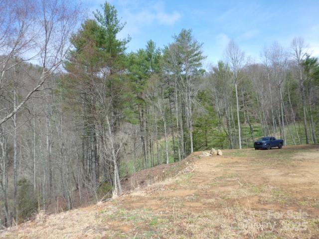 Tbd Joe Tweed Road Marshall NC 28753