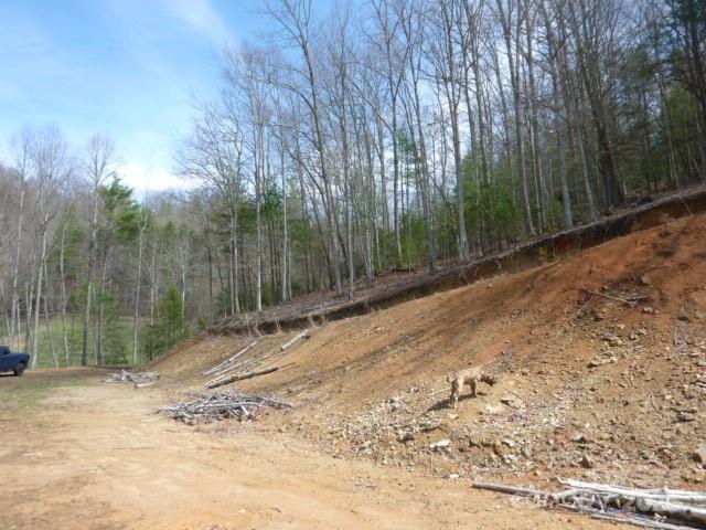 Tbd Joe Tweed Road Marshall NC 28753
