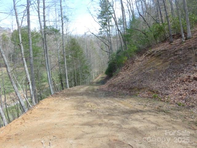 Tbd Joe Tweed Road Marshall NC 28753