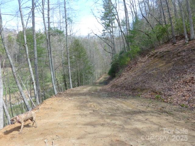 Tbd Joe Tweed Road Marshall NC 28753