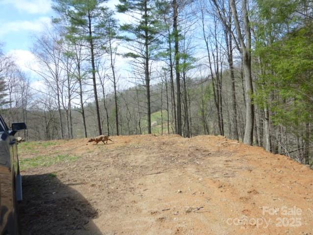 Tbd Joe Tweed Road Marshall NC 28753