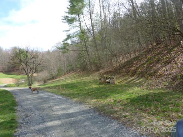 Tbd Joe Tweed Road Marshall NC 28753