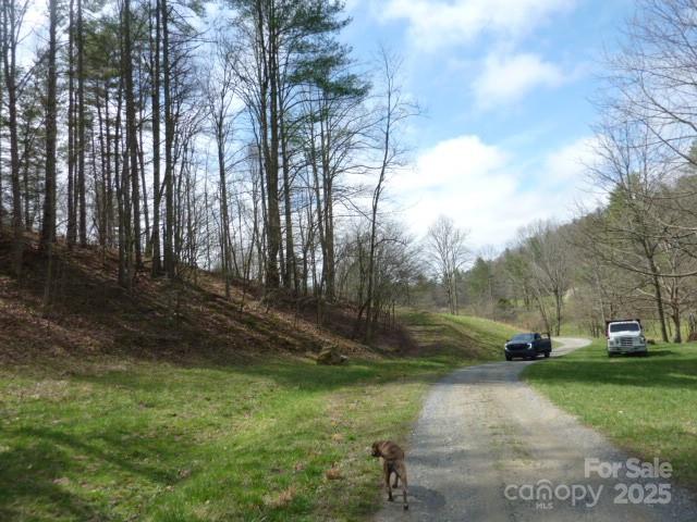 Tbd Joe Tweed Road Marshall NC 28753
