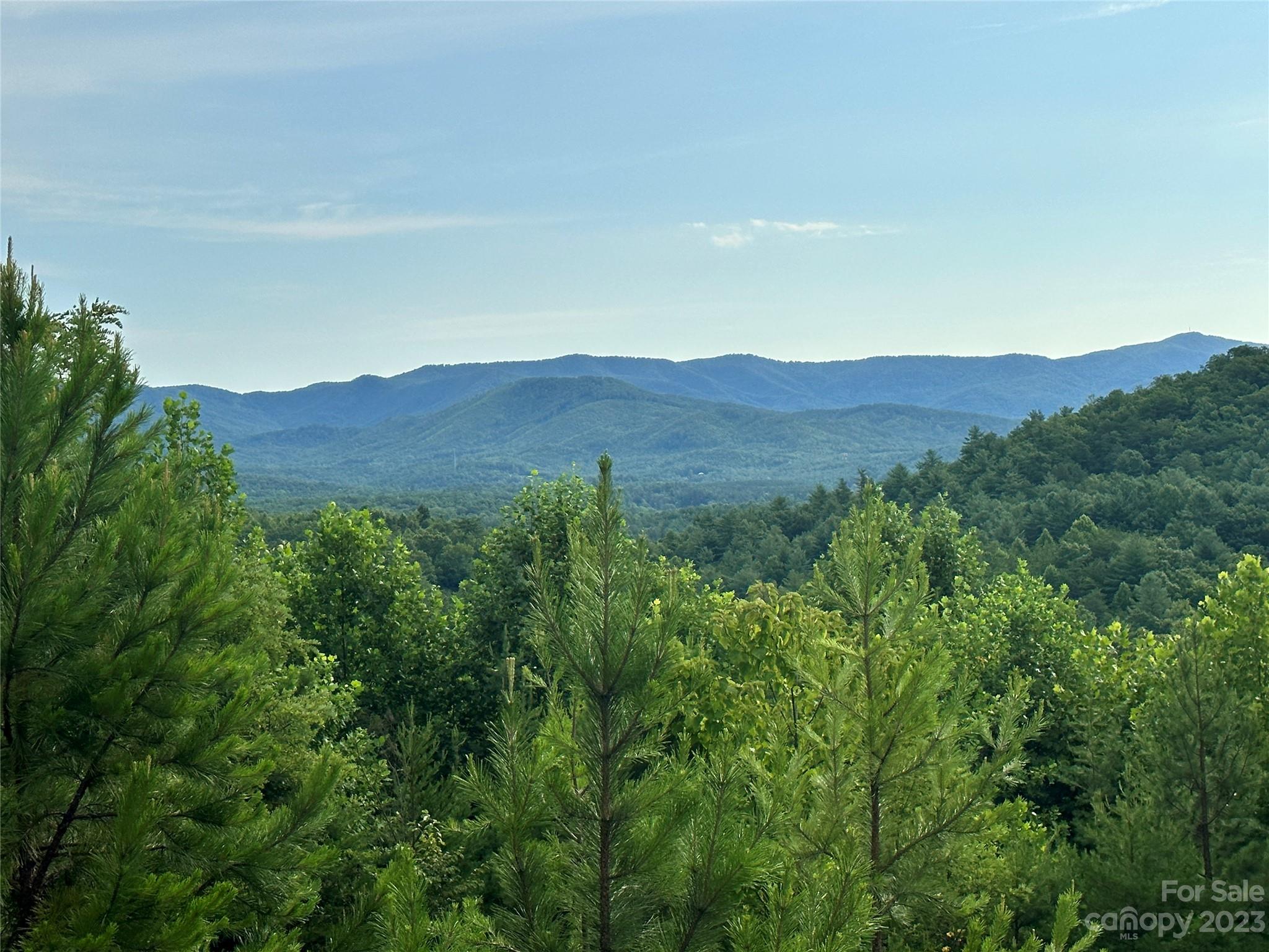 643 Woodgate Drive Bostic NC 28018