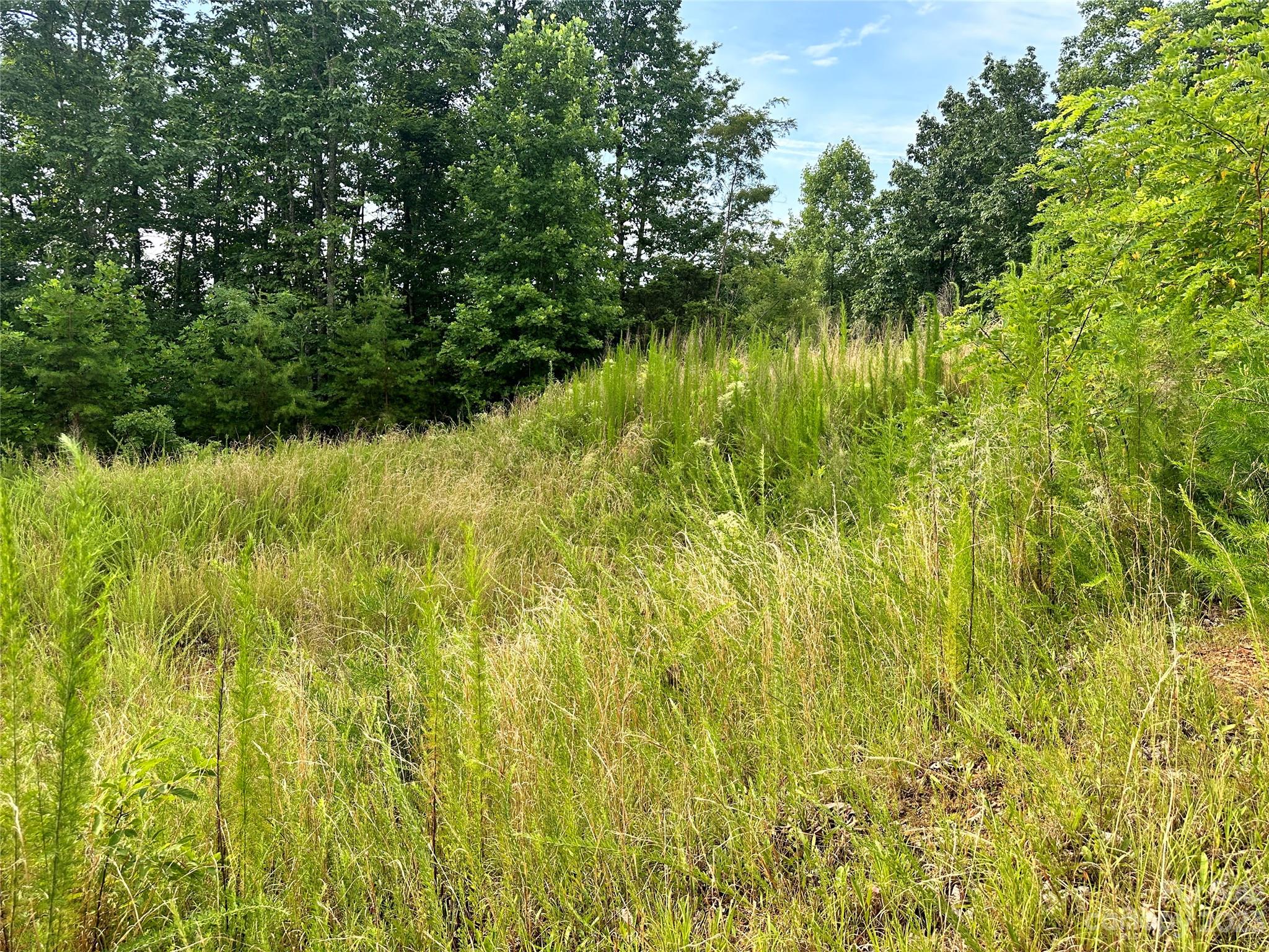 643 Woodgate Drive Bostic NC 28018