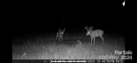 15159 Highway 226 South Union Mills NC 28167