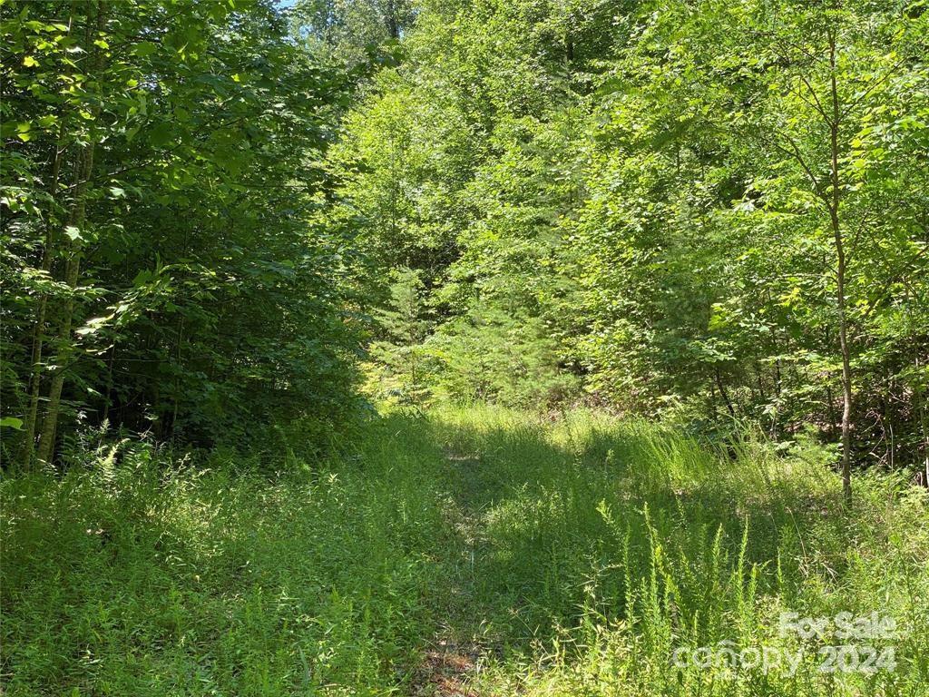 15159 Highway 226 South Union Mills NC 28167