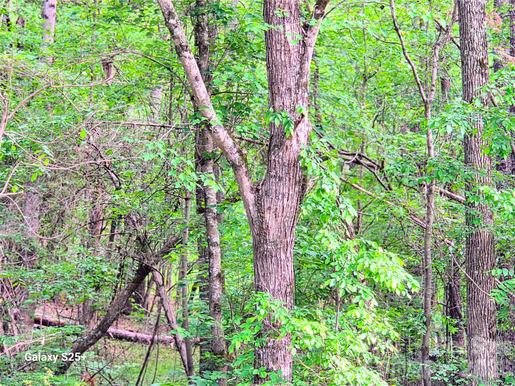 Vac Stony Gap Road Albemarle NC 28001