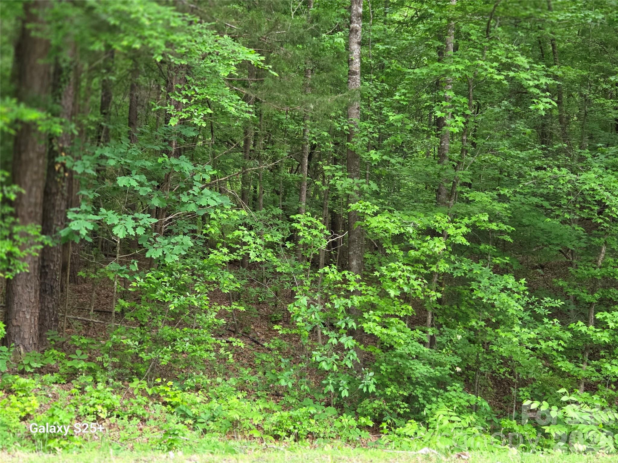 Vac Stony Gap Road Albemarle NC 28001