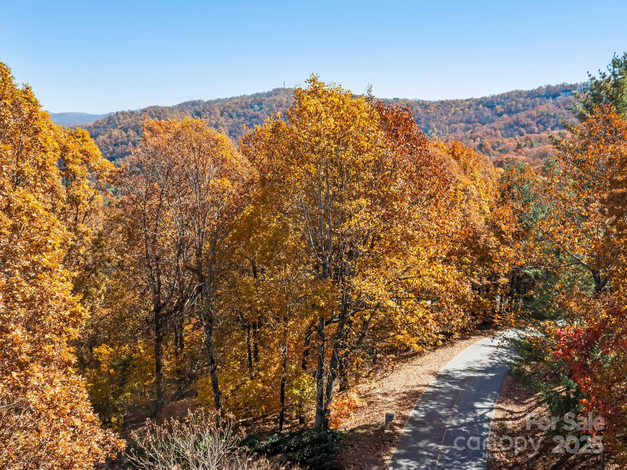 707 Overlook Drive Flat Rock NC 28731