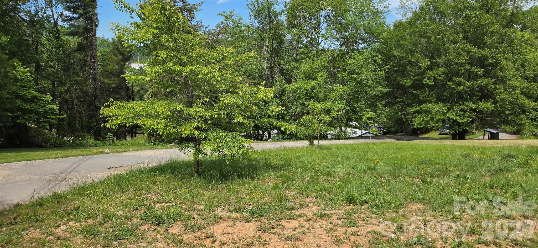 18 Paradise Ridge Road Candler NC 28715