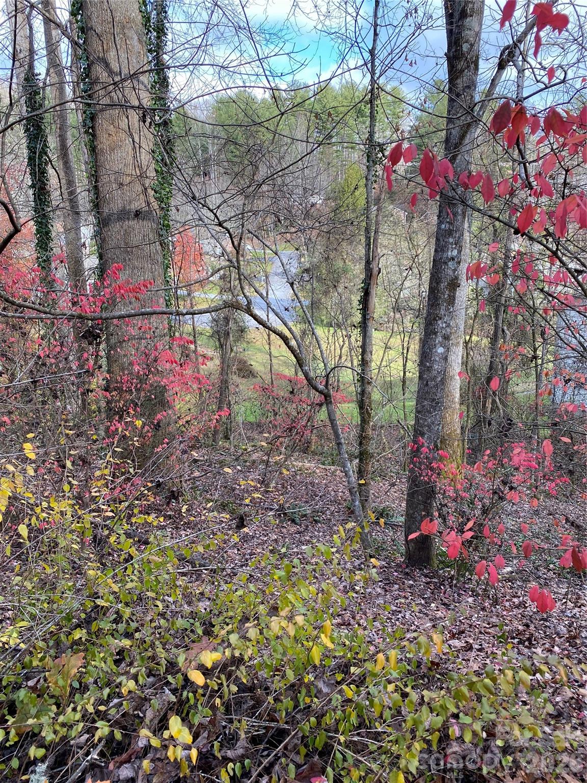 000 Waterford Place Brevard NC 28712