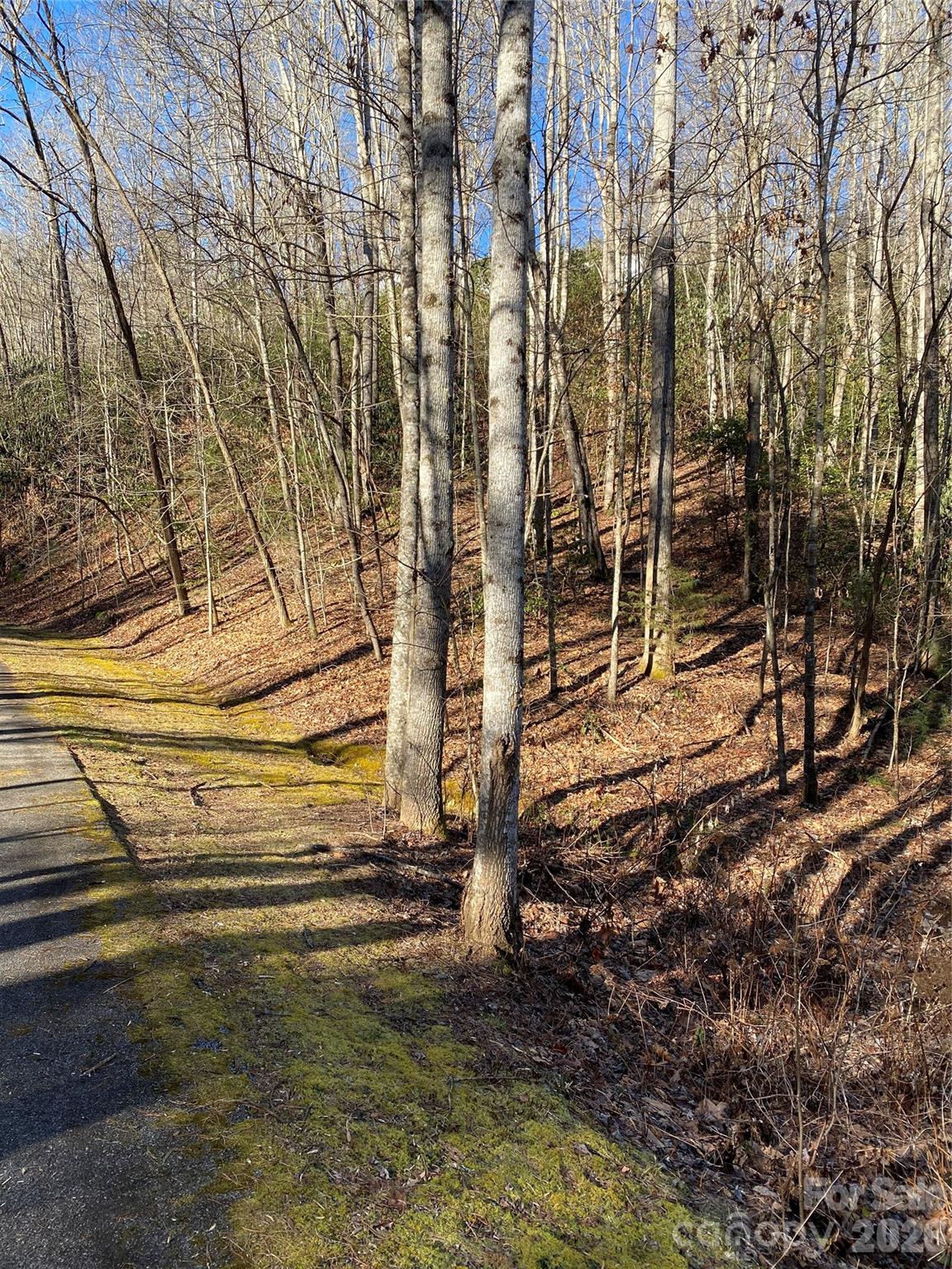 000 Waterford Place Brevard NC 28712