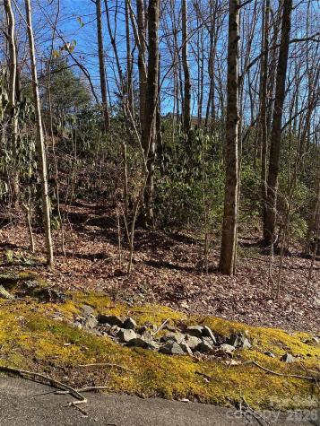 000 Waterford Place Brevard NC 28712