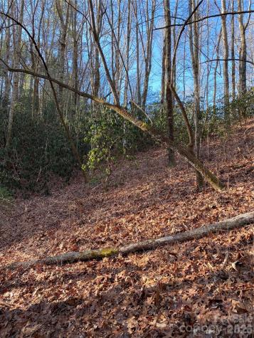 000 Waterford Place Brevard NC 28712