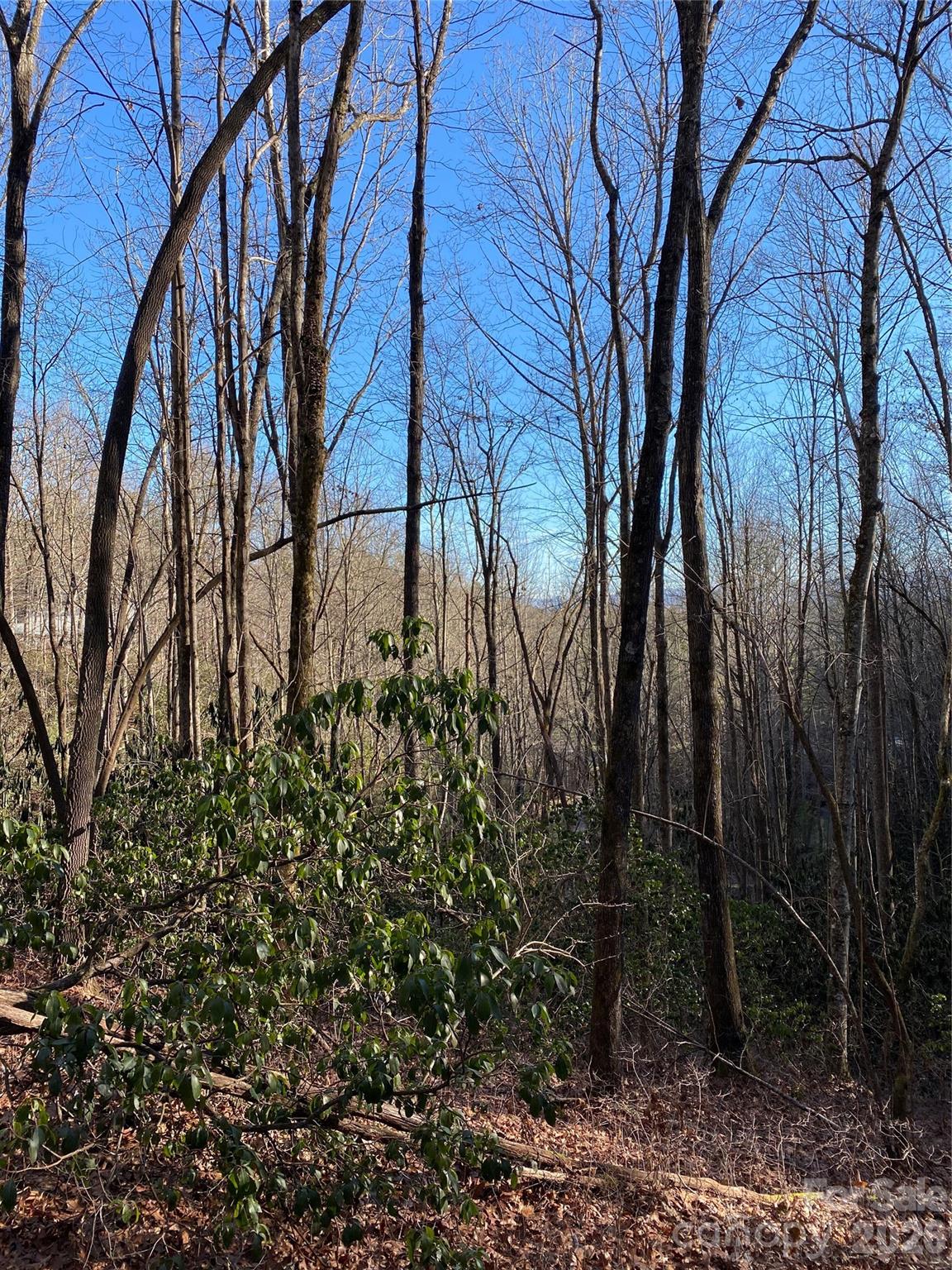 000 Waterford Place Brevard NC 28712